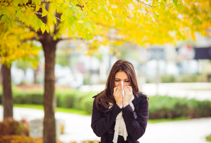 Alergie na podzim? Mohou za ni plísně, ambrozie a roztoče