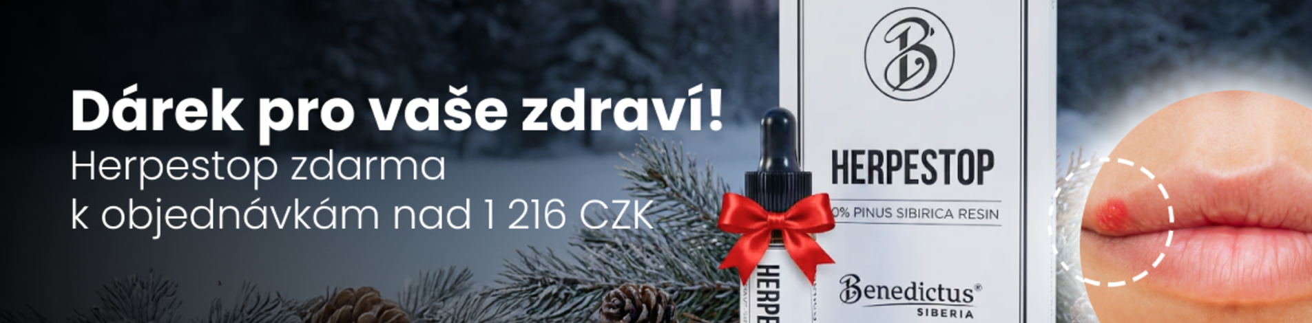 Novoročná akcia 2025/2026